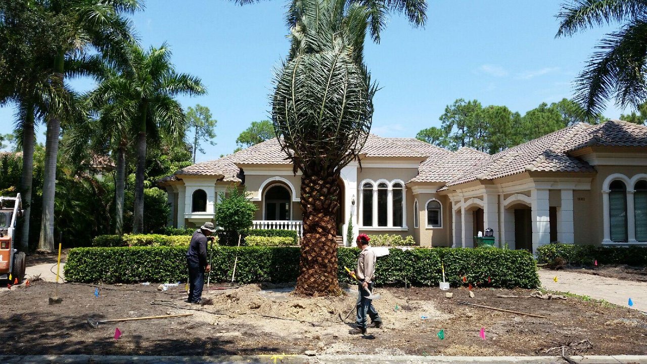 Image: Landscaping services at TLC Lawn in Naples, FL