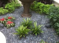 Image: Gallery Photo 4 | Landscaping services at TLC Lawn in Naples, FL