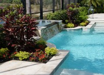 Image: TLC-Residential_3 | Completed Palm install | Landscaping services at TLC Lawn in Naples, FL