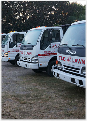 Image: About Us | TLC Lawn trucks - TLC Lawn, Naples, FL