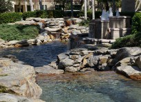 Pond Stone